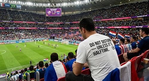 Do Not Disturb Unless It’s Halftime T-Shirt